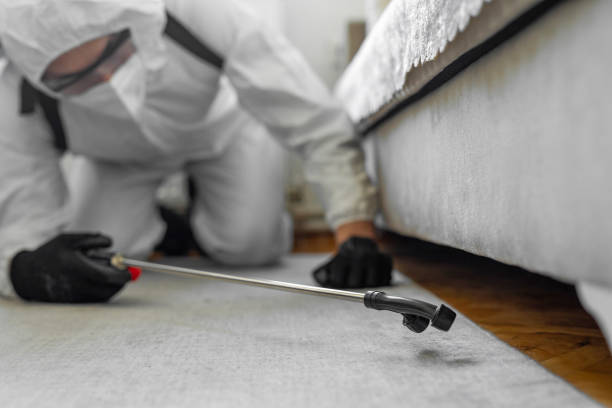 Professional Termite Control technician working in Sussex, NJ