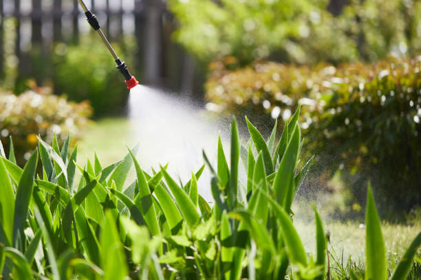 24/7 Emergency Termite Control experts in Sussex, NJ